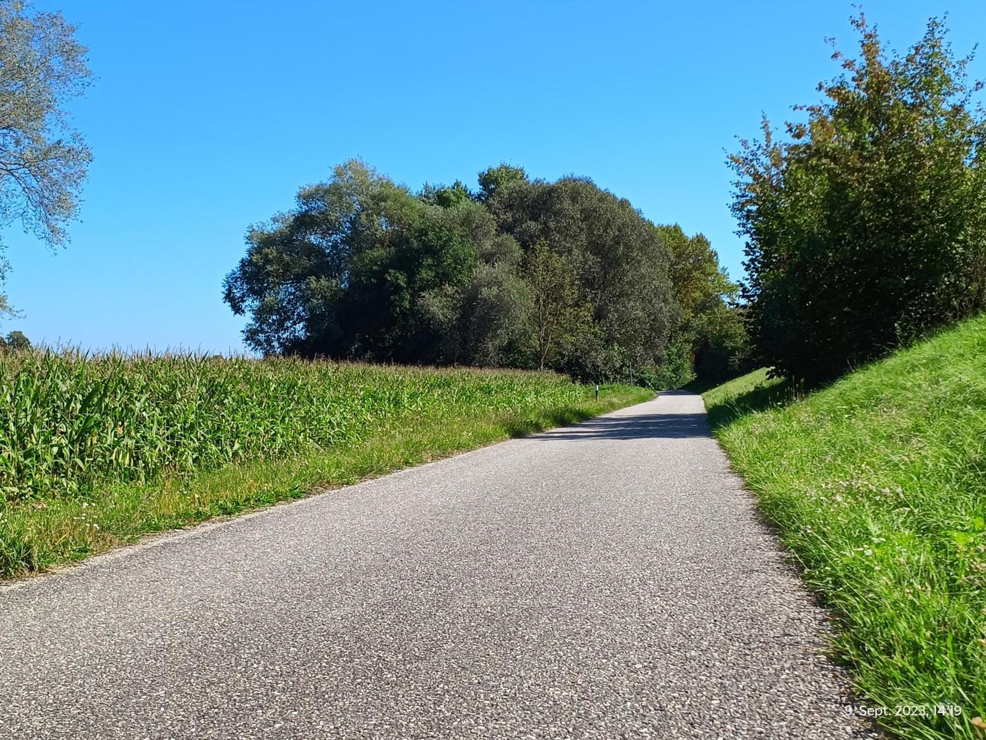 G.A.D.D Ferienwohnung/Glueck An Der Donau Straubing Zewnętrze zdjęcie